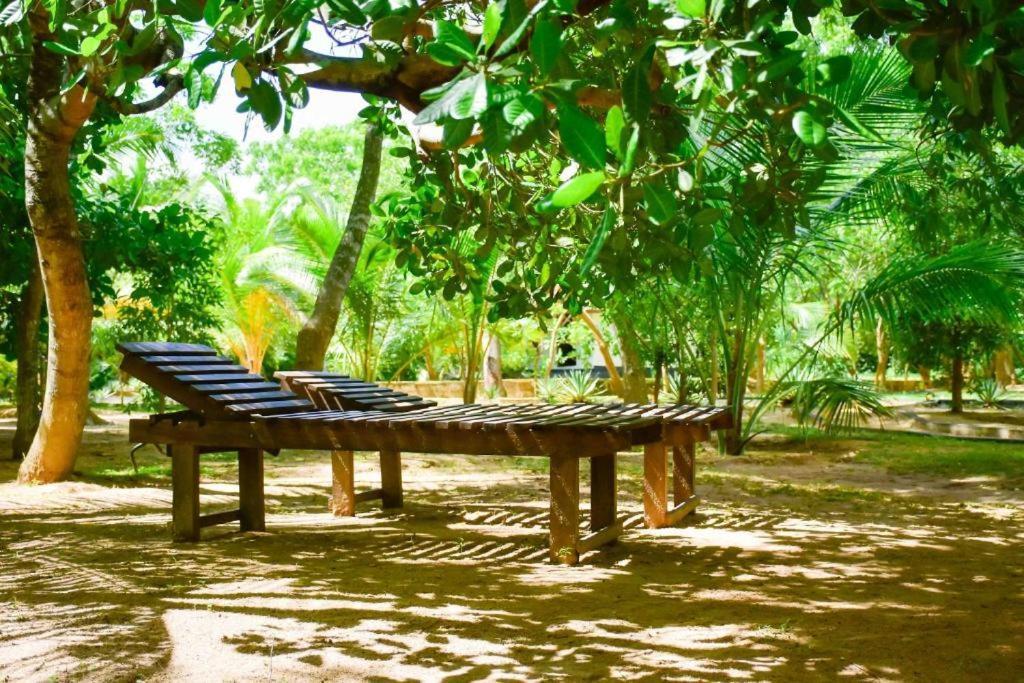 Turtles View Resort Tangalle Dış mekan fotoğraf