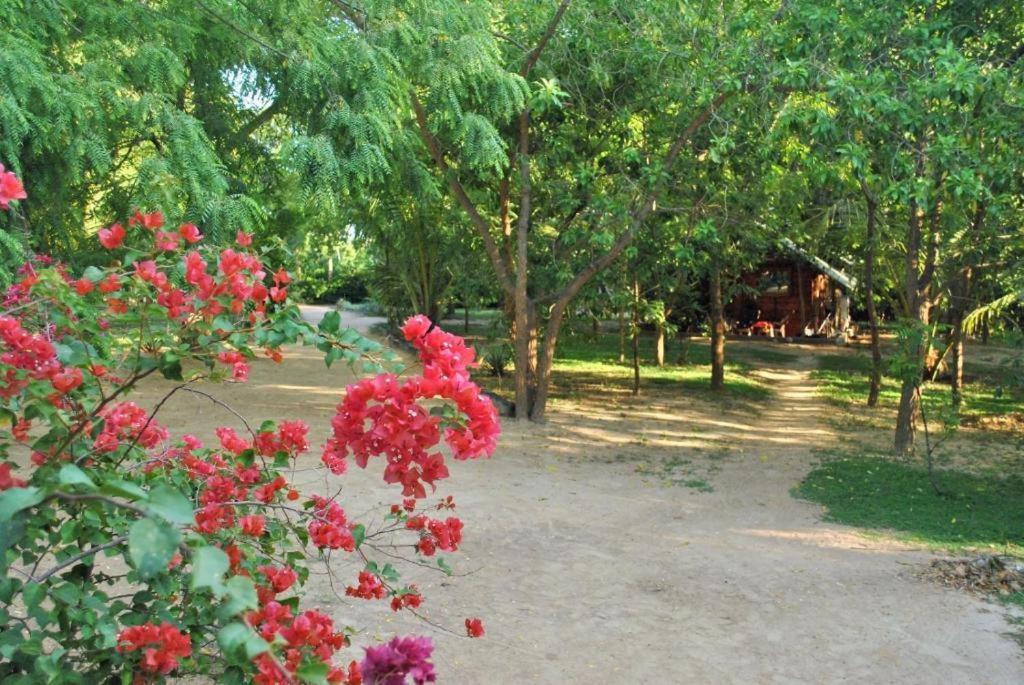 Turtles View Resort Tangalle Dış mekan fotoğraf
