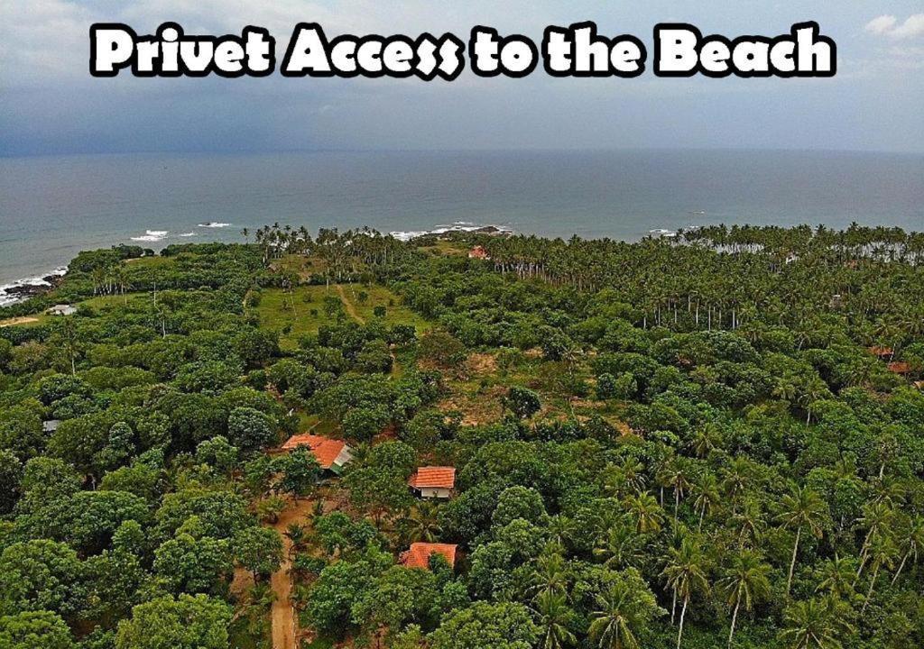 Turtles View Resort Tangalle Dış mekan fotoğraf