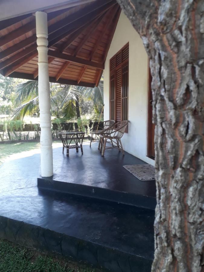 Turtles View Resort Tangalle Dış mekan fotoğraf