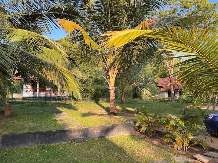 Turtles View Resort Tangalle Dış mekan fotoğraf